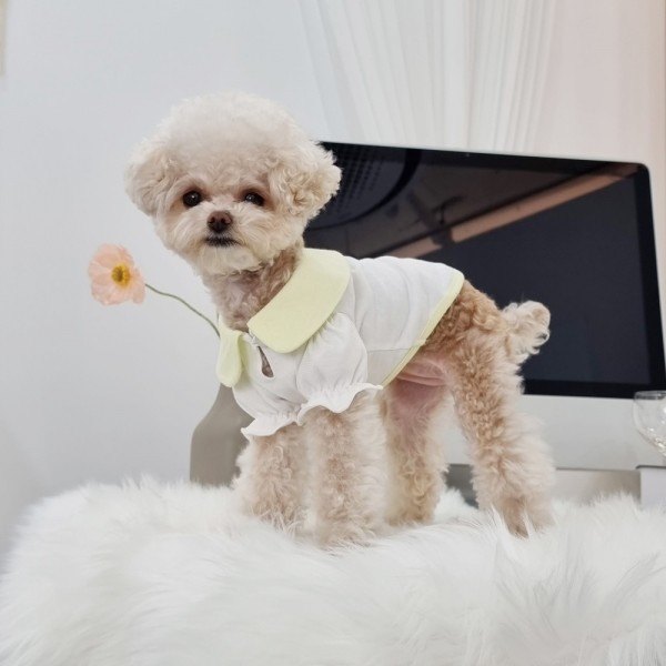 페오펫몰,[댕린이특가] 키덕키덕 | 자체제작 강아지 블라우스 레이어드 티셔츠 4계절용 베비 카라 블라우스 이너티