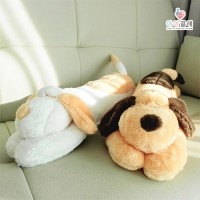 아이끌레 납작 강아지 봉제인형