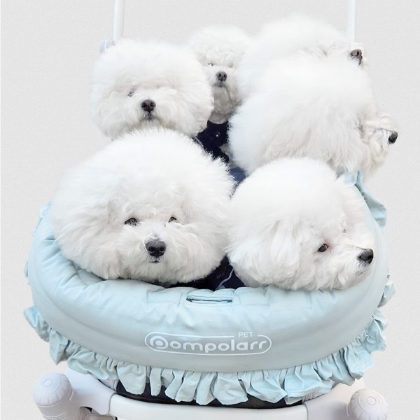 페오펫몰,폼포라펫 클래식 웨건 가드 펫 범퍼가드 애견 강아지유모차 개모차 쿠션