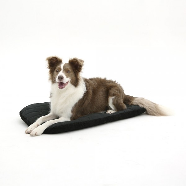 페오펫몰,폼포라펫 뽀글이 라이너 세트 펫웨건 애견 강아지 유모차 개모차 겨울용 쿠션 방석