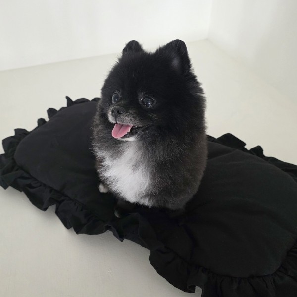 페오펫몰,폼포라펫 강아지 방석 웨건 러플 라이너 세트 펫웨건 애견 강아지유모차 개모차 쿠션