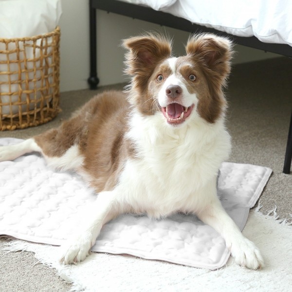 폼포라펫 강아지 쿨매트 냉감패드 고양이 여름방석 애견 유모차 쿨시트 개모차 대형견