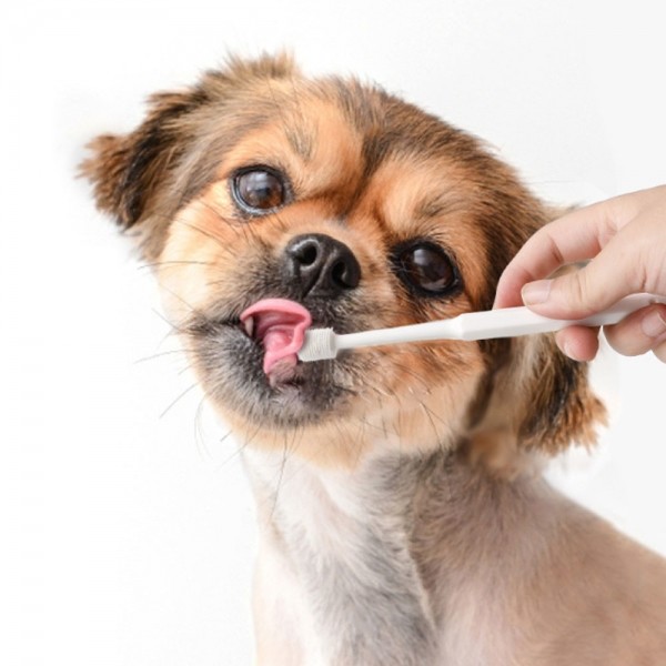 페오펫몰,크레용펫 강아지 고양이 칫솔 양치  입냄새 치석제거 원형 360도