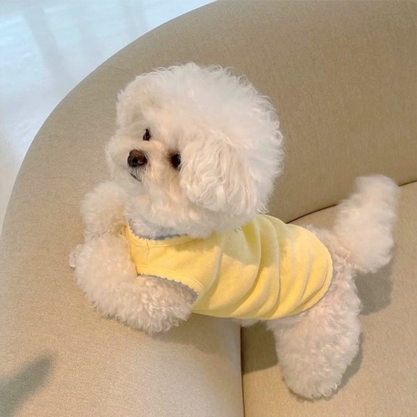 페오펫몰,크레용펫 소르베 쁘띠 리본 옷