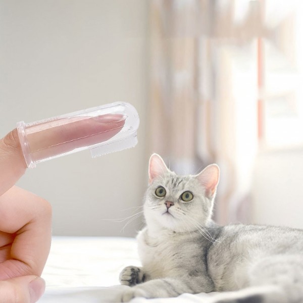 페오펫몰,크레용펫 강아지 고양이 실리콘 손가락 칫솔