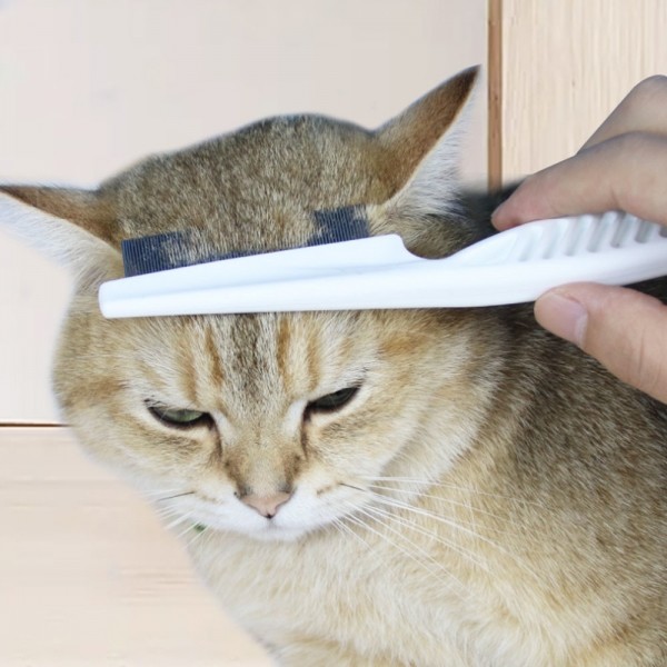 페오펫몰,크레용펫 강아지 눈꼽빗 얼굴빗  미니 슬리커 참빗 콤