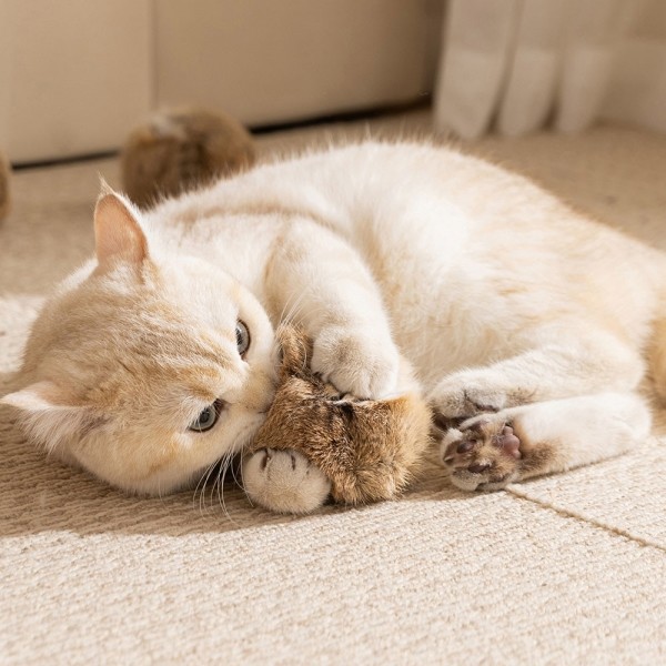 페오펫몰,크레용펫 샐러리 마따따비 스틱 이갈이 장난감