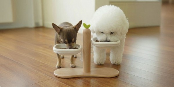 페오펫몰,[설날특가]크레용펫 프리미엄 맞춤핏 듀얼볼 높이조절 식기