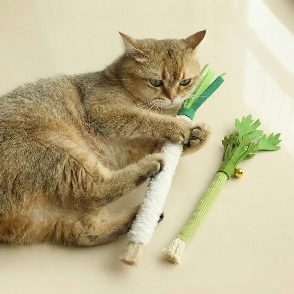 크레용펫 대왕 채소 마따따비 스틱(셀러리/대파)