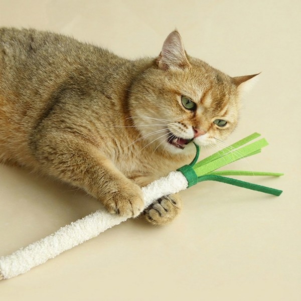 페오펫몰,크레용펫 대왕 채소 마따따비 스틱(셀러리/대파)