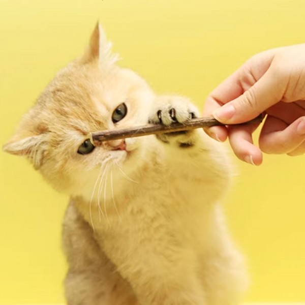 페오펫몰,크레용펫 마따따비 스틱 대용량(S/M/L)