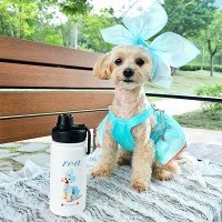 반려동물 강아지 고양이 사진 그림 커스텀 주문제작 아웃도어 스포츠 보틀 (350ml)
