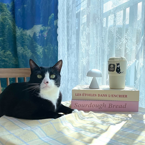 페오펫몰,반려동물 강아지 고양이 사진 그림 커스텀 주문제작 이중 파스텔 텀블러 (350ml)