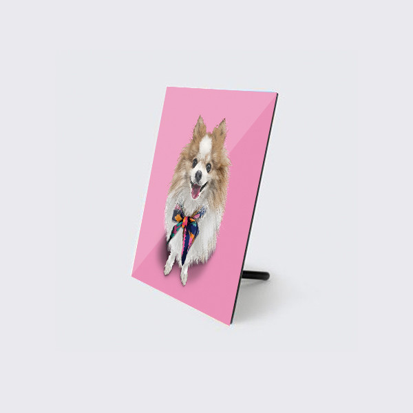 반려동물 강아지 고양이 사진 그림 주문제작 아크릴액자