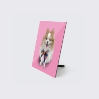 반려동물 강아지 고양이 사진 그림 주문제작 아크릴액자