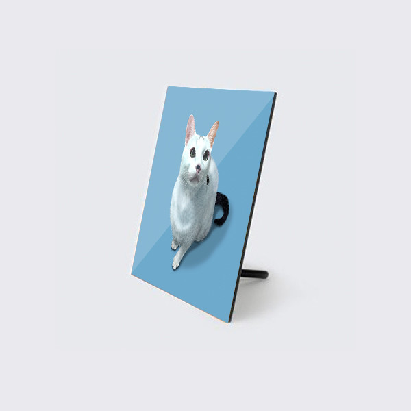 페오펫몰,반려동물 강아지 고양이 사진 그림 주문제작 아크릴액자