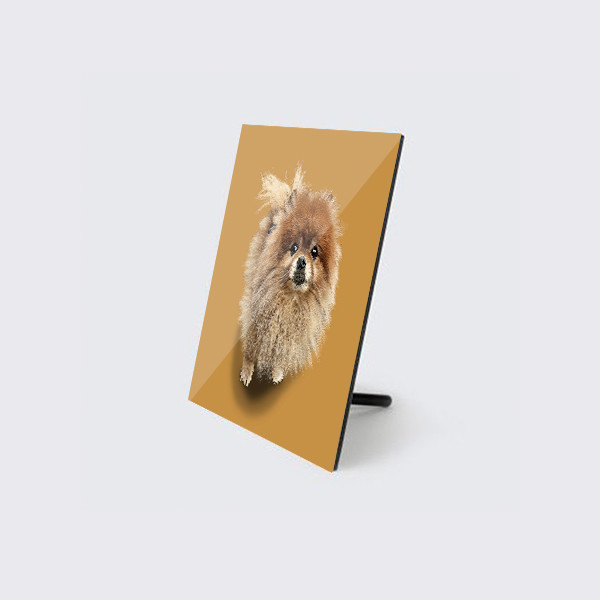 페오펫몰,반려동물 강아지 고양이 사진 그림 주문제작 아크릴액자