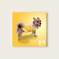 반려동물 강아지 고양이 사진 그림 주문제작 캔버스 액자