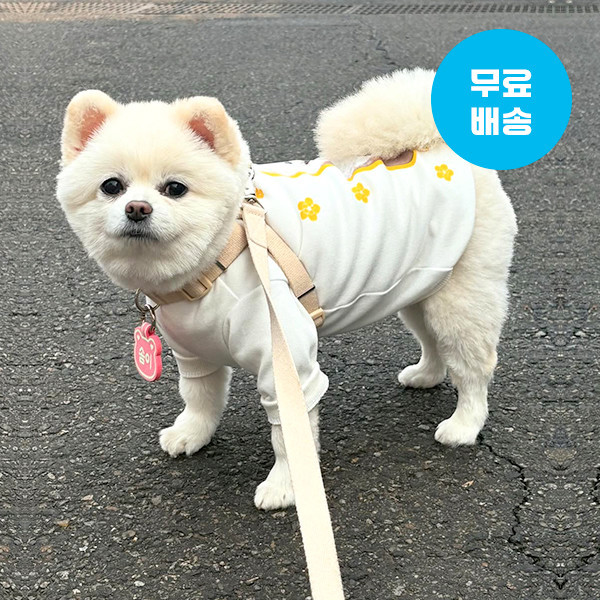 페오펫몰,반려동물 사진 그림 강아지옷 고양이옷 주문제작 반려동물 맨투맨