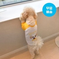 반려동물 사진 그림 강아지옷 고양이옷 주문제작 반려동물 래글런 티셔츠