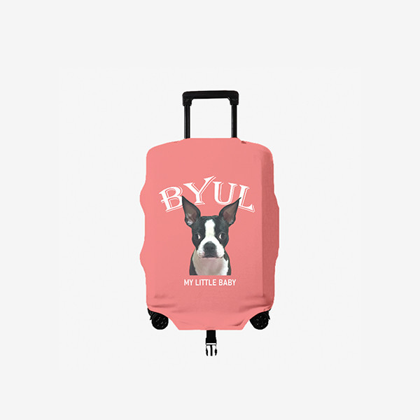 페오펫몰,[엔젤드로잉] 반려동물 강아지 고양이 사진 그림 커스텀 주문제작 캐리어 커버