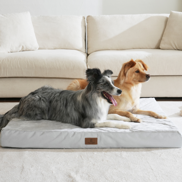 페오펫몰,[펫앤마마] 대형견 강아지 방석 쿠션 01 2종 (그레이/진그레이) L~2XL