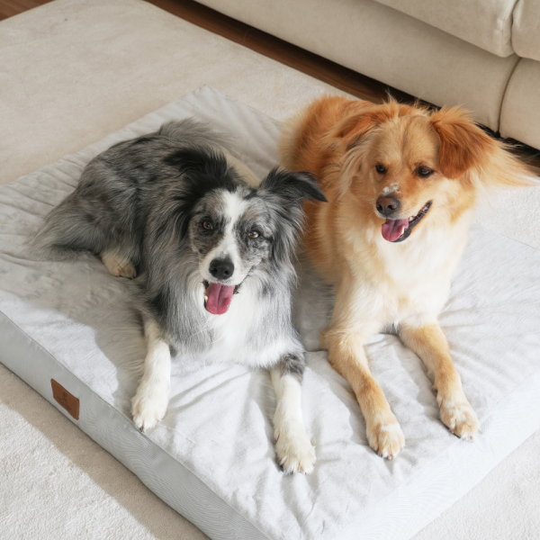 페오펫몰,[펫앤마마] 대형견 강아지 방석 쿠션 01 2종 (그레이/진그레이) L~2XL