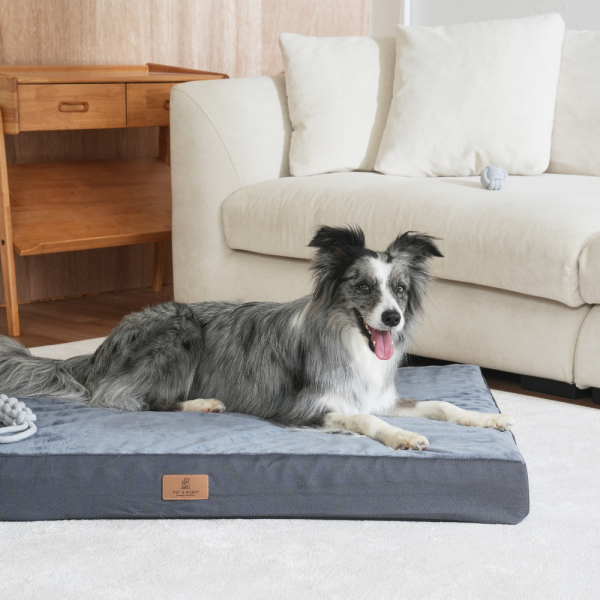 페오펫몰,[펫앤마마] 대형견 강아지 방석 쿠션 01 2종 (그레이/진그레이) L~2XL