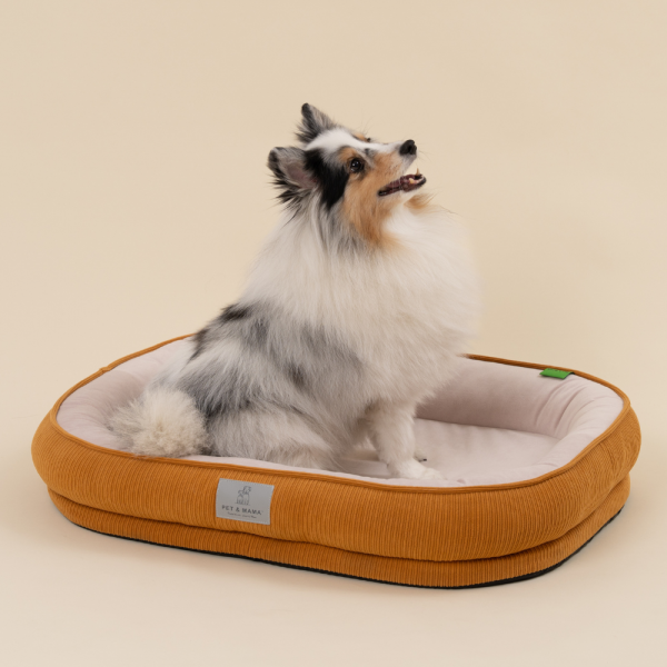 페오펫몰,[펫앤마마] 강아지 방석 쿠션 3종 (화이트/오렌지/블루) M~2XL