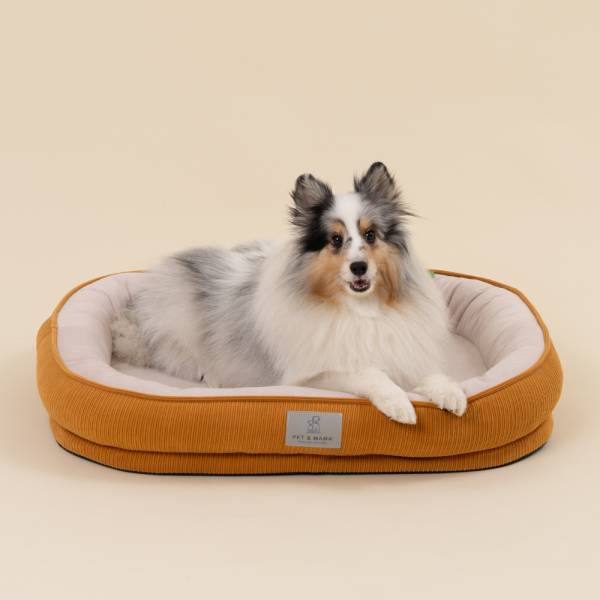 페오펫몰,[펫앤마마] 강아지 방석 쿠션 3종 (화이트/오렌지/블루) M~2XL