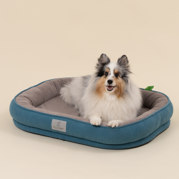 페오펫몰,[펫앤마마] 강아지 방석 쿠션 3종 (화이트/오렌지/블루) M~2XL