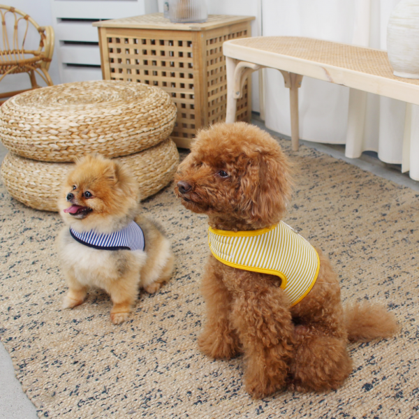 페오펫몰,[스윗테일] [설날특가] 핸드메이드 강아지 스트라이프 하네스 S [반려동물]