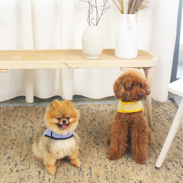 페오펫몰,[스윗테일] [설날특가] 핸드메이드 강아지 스트라이프 하네스 S [반려동물]