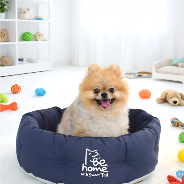 [스윗테일] [설날특가]핸드메이드 강아지하우스 팔각방석 (라지) [반려동물]