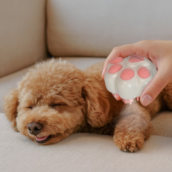 페오펫몰,[펫키지] 미스트 분사 살균 촉촉 브러쉬Ⅱ 화이트 [반려동물]