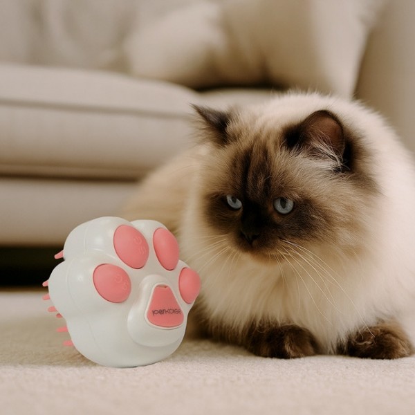 페오펫몰,[펫키지] 미스트 분사 살균 촉촉 브러쉬Ⅱ 화이트 [반려동물]