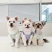 썸네일(스크롤)