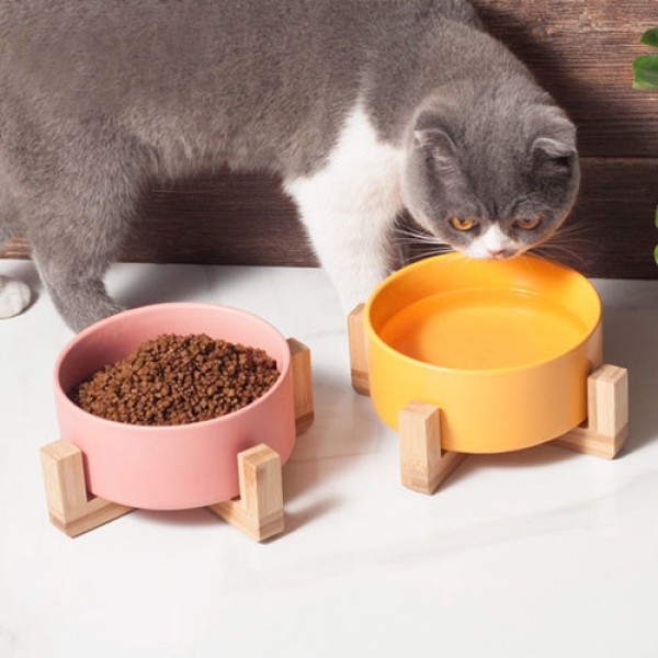 우드프레임+세라믹식기 세트