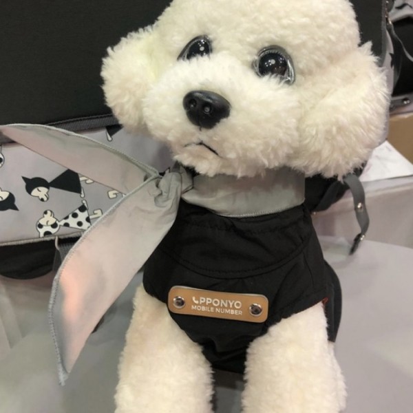 페오펫몰,뽀뇨 멍무원 스카프 [최저가]