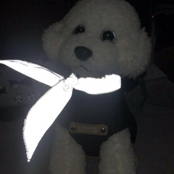 페오펫몰,뽀뇨 멍무원 스카프 [최저가]