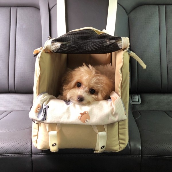 페오펫몰,뽀뇨 콘솔 블록킹 카시트 소형견 전용 [최저가]