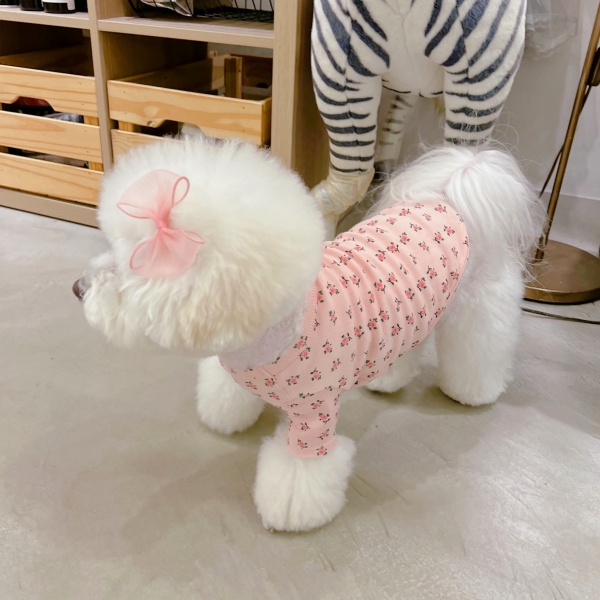 페오펫몰,보리밥 핑크 로즈 티셔츠