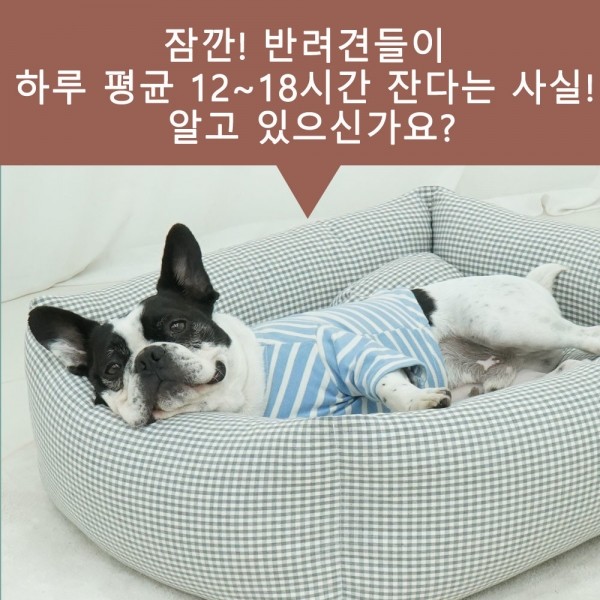 페오펫몰,레드퍼피 툼딜라쿠션방석
