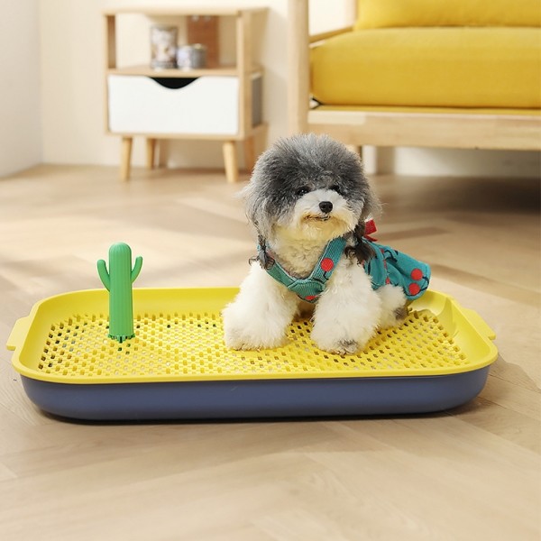 페오펫몰,사막의 오아시스 배변판