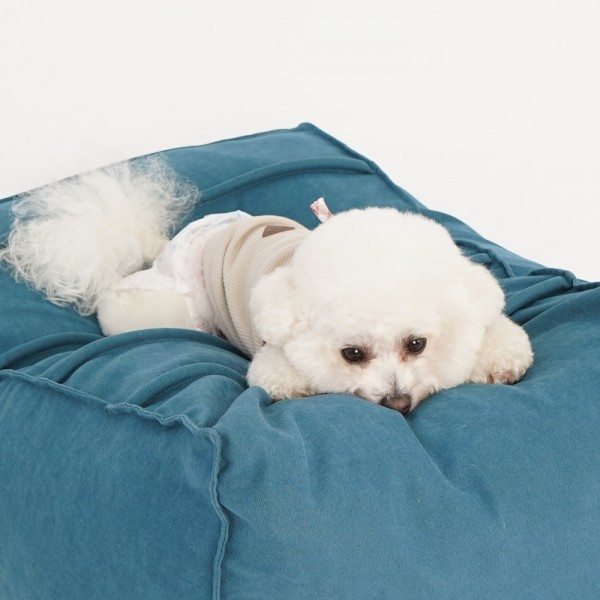 페오펫몰,레드퍼피 비비츠빈백&계단