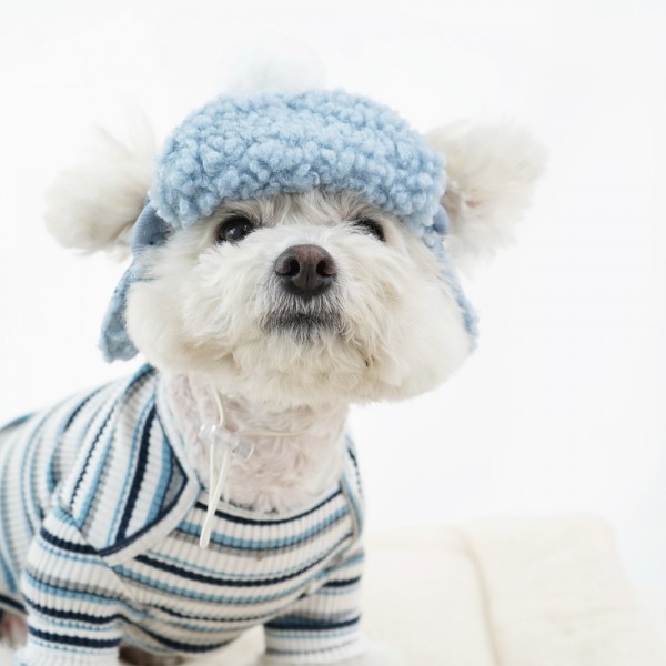 페오펫몰,레드퍼피 코쉬 군밤모자