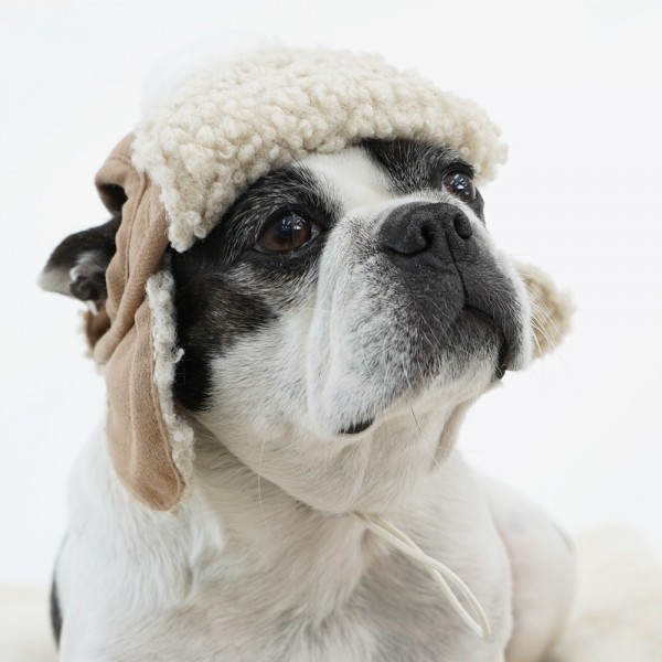 페오펫몰,레드퍼피 코쉬 군밤모자