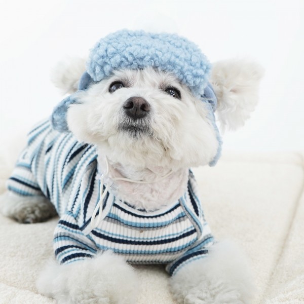 페오펫몰,레드퍼피 코쉬 군밤모자