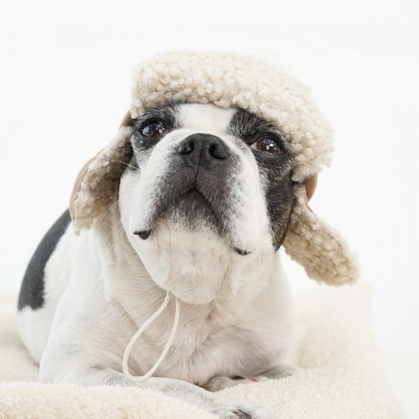 페오펫몰,레드퍼피 코쉬 군밤모자