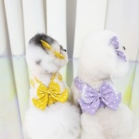 레드퍼피 도트 리본 하네스